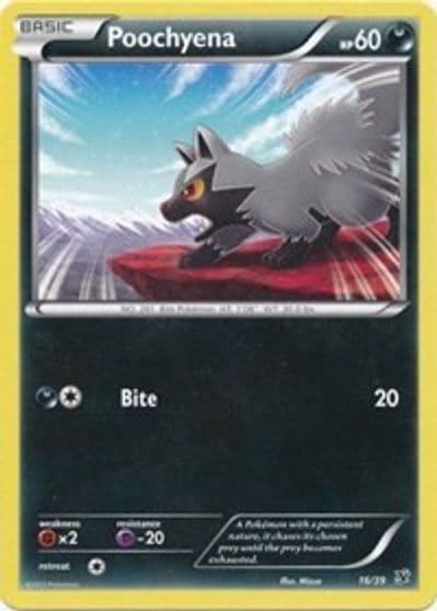 Poochyena Kalos Starter Set Pokemon card