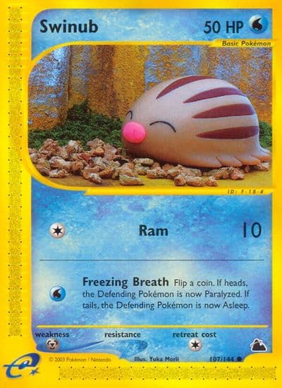 Swinub (107) Skyridge Pokemon card