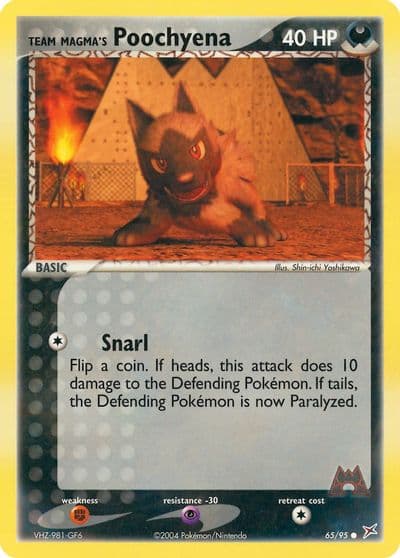 Team Magma's Poochyena Team Magma vs Team Aqua Pokemon card