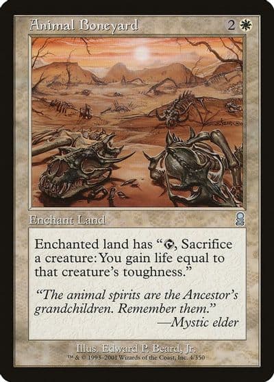 Animal Boneyard Odyssey Magic card