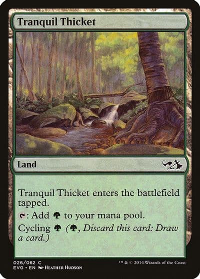 Tranquil Thicket Duel Decks: Anthology Magic card