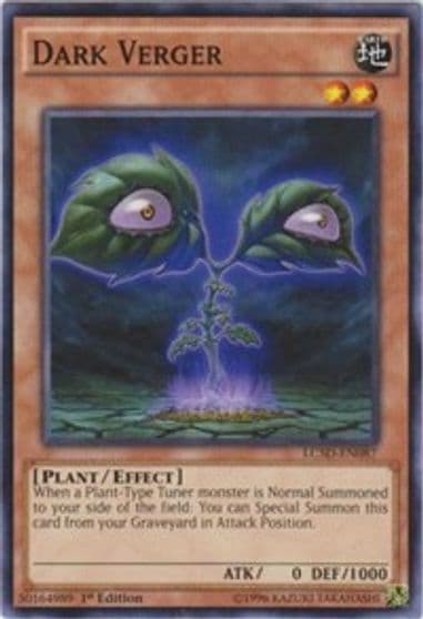 Dark Verger Legendary Collection 5D's Yu-Gi-Oh! card