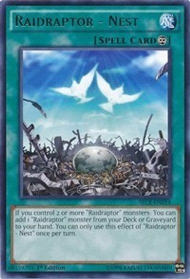 Raidraptor Nest Secrets of Eternity Yu-Gi-Oh! card