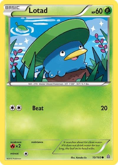 Lotad XY - Primal Clash Pokemon card