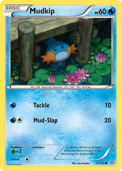 Mudkip XY - Primal Clash Pokemon card