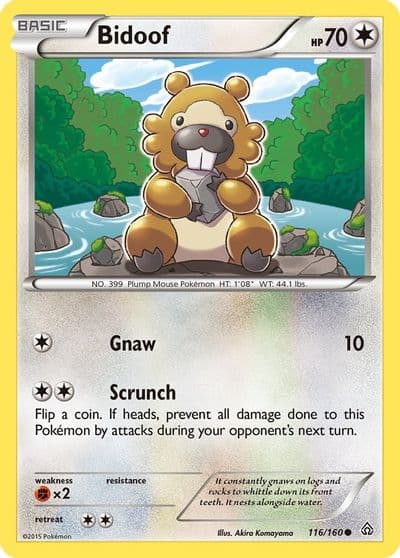 Bidoof XY - Primal Clash Pokemon card