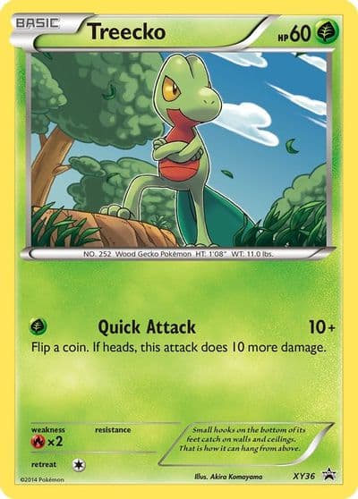 Treecko - XY36 XY Promos Pokemon card