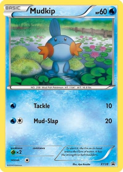Mudkip - XY38 XY Promos Pokemon card